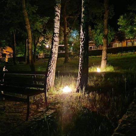 Воллен Zhvanets Luaran gambar