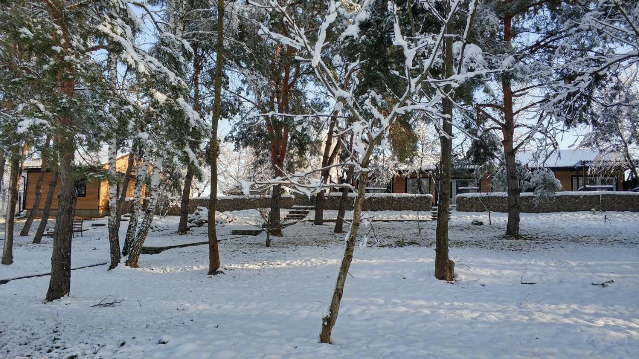 Воллен Zhvanets Luaran gambar